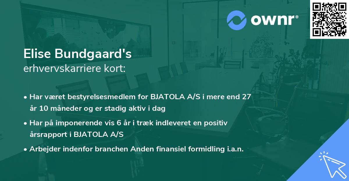 Elise Bundgaard's erhvervskarriere kort