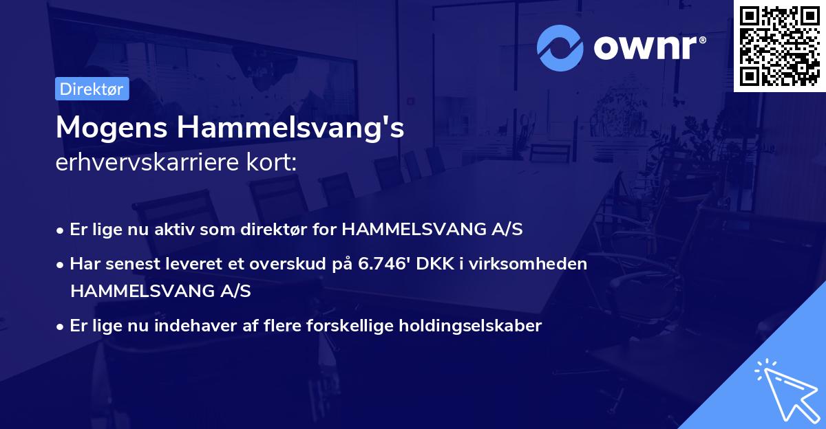 Mogens Hammelsvang's erhvervskarriere kort