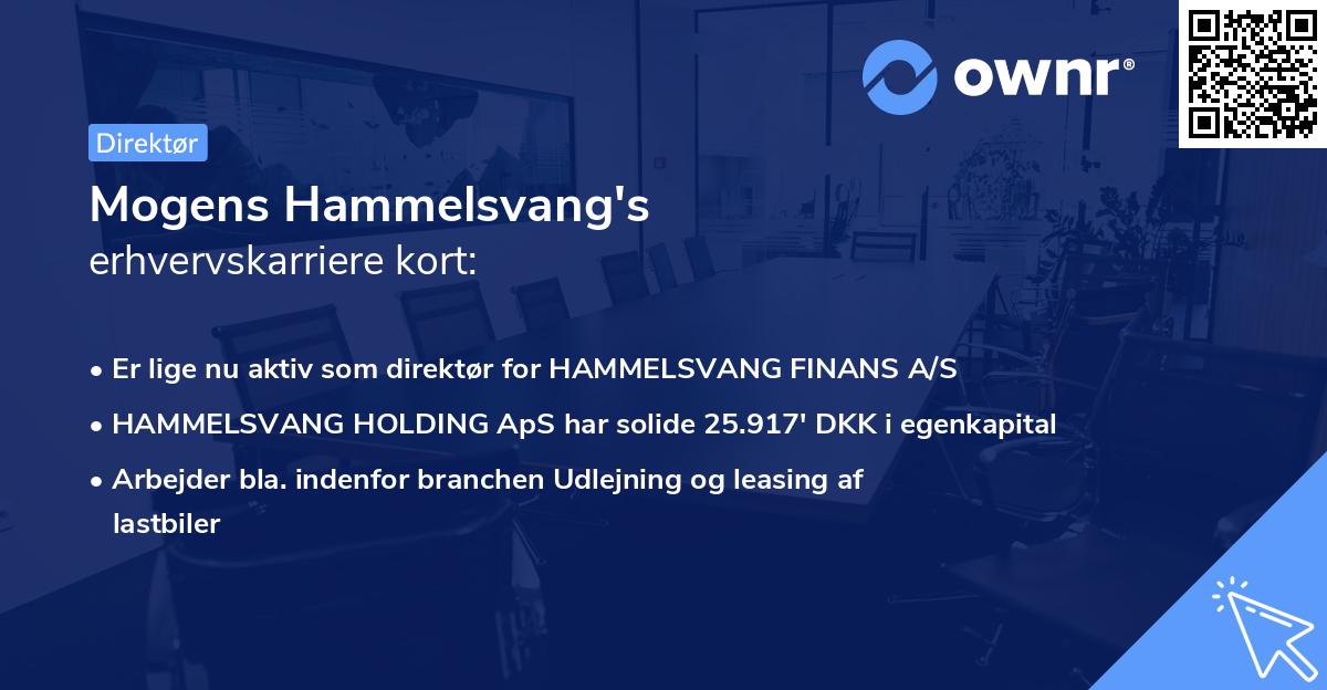 Mogens Hammelsvang's erhvervskarriere kort