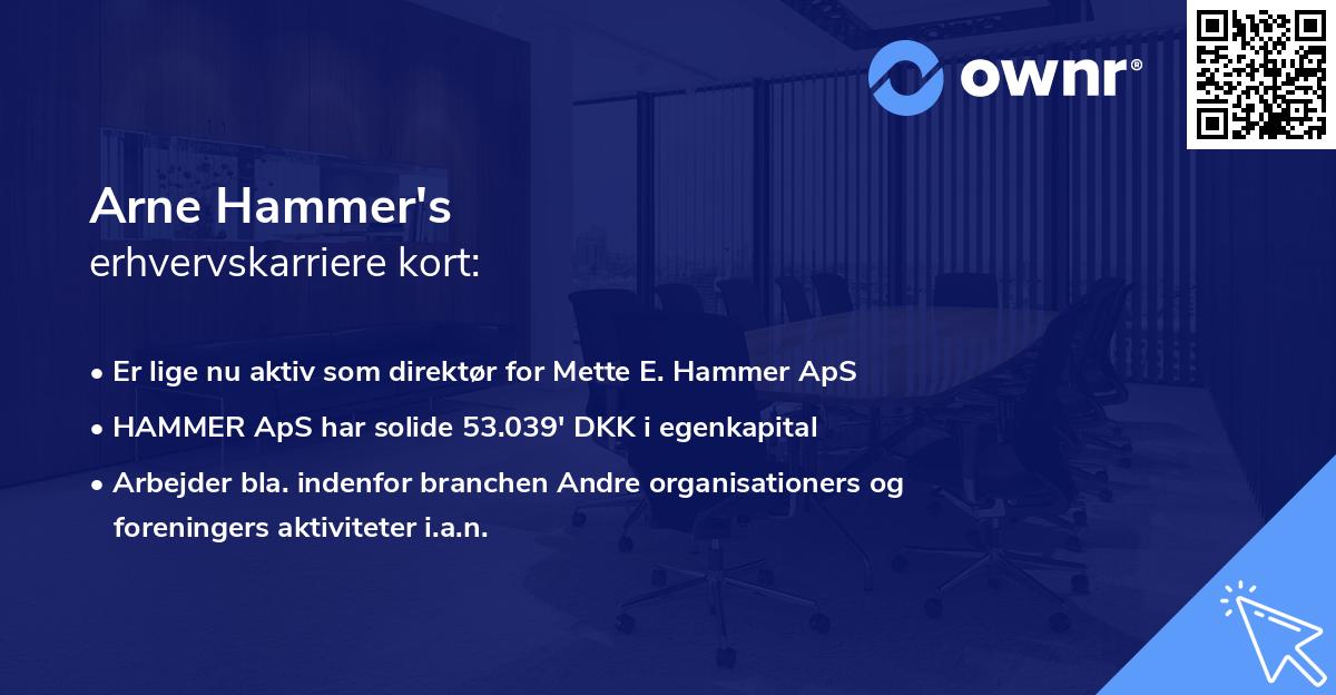 Arne Hammer's erhvervskarriere kort