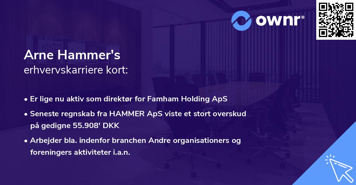 Arne Hammer's erhvervskarriere kort