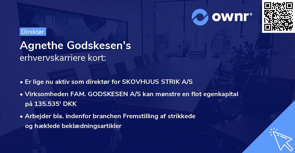 Agnethe Godskesen's erhvervskarriere kort