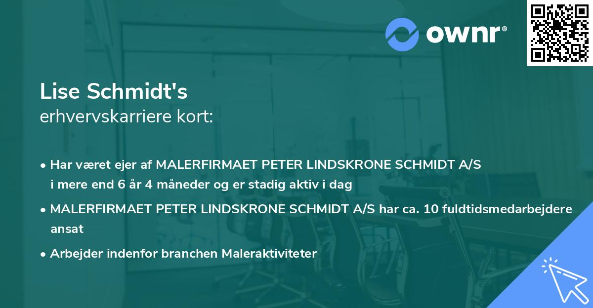 Lise Schmidt's erhvervskarriere kort