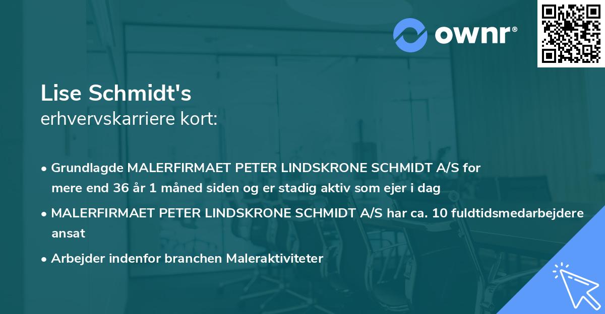 Lise Schmidt's erhvervskarriere kort