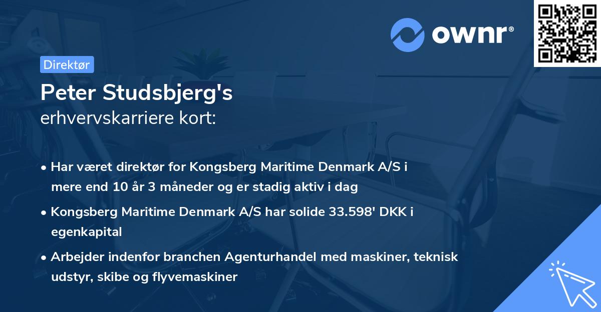 Peter Studsbjerg's erhvervskarriere kort