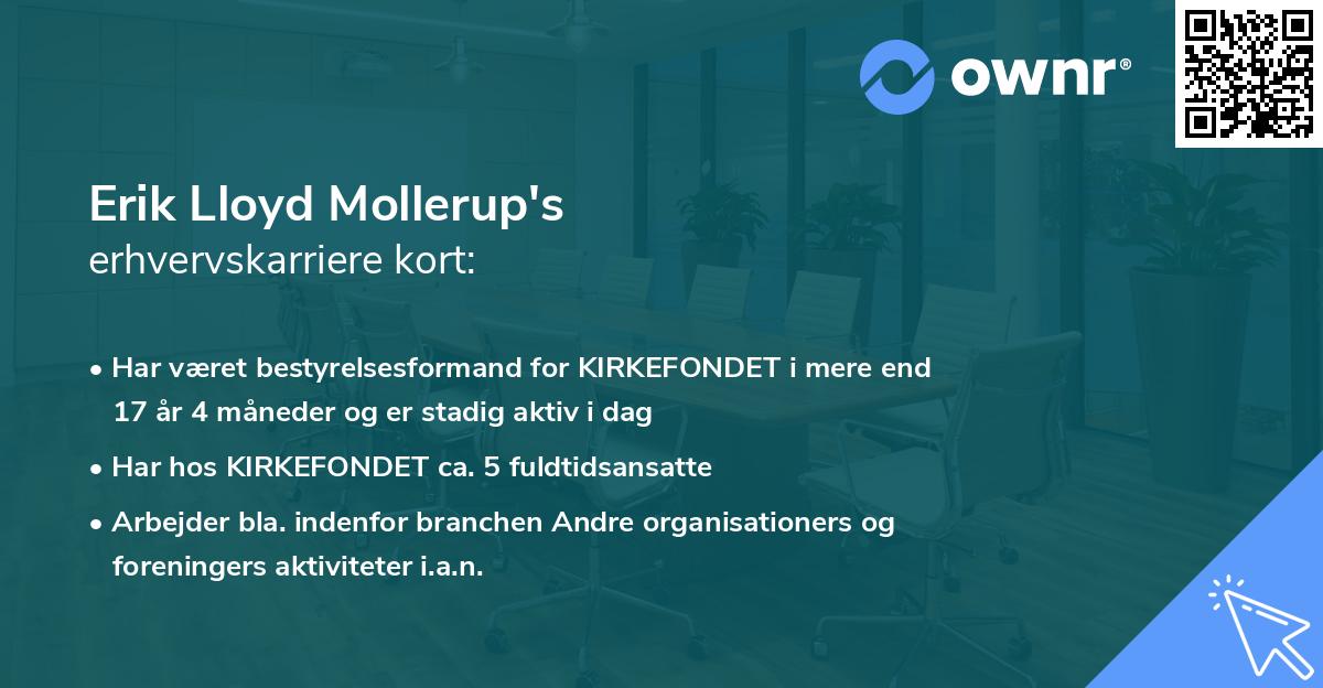 Erik Lloyd Mollerup's erhvervskarriere kort