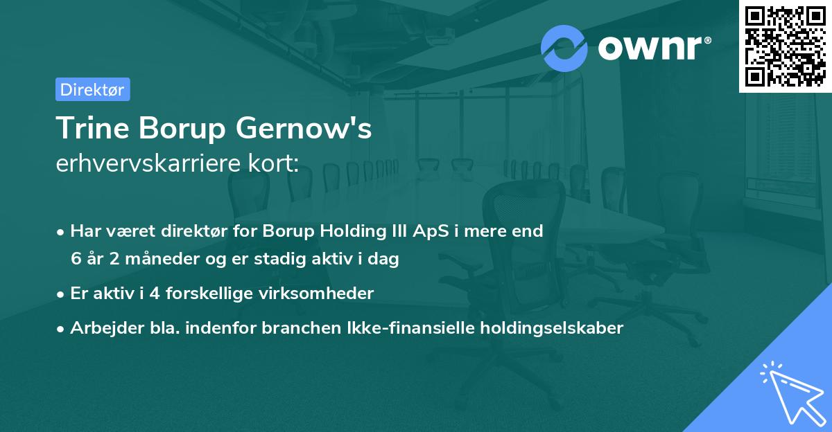 Trine Borup Gernow's erhvervskarriere kort