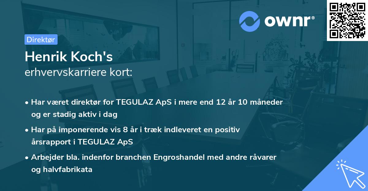 Henrik Koch's erhvervskarriere kort