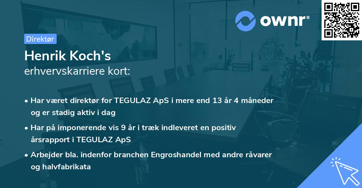 Henrik Koch's erhvervskarriere kort