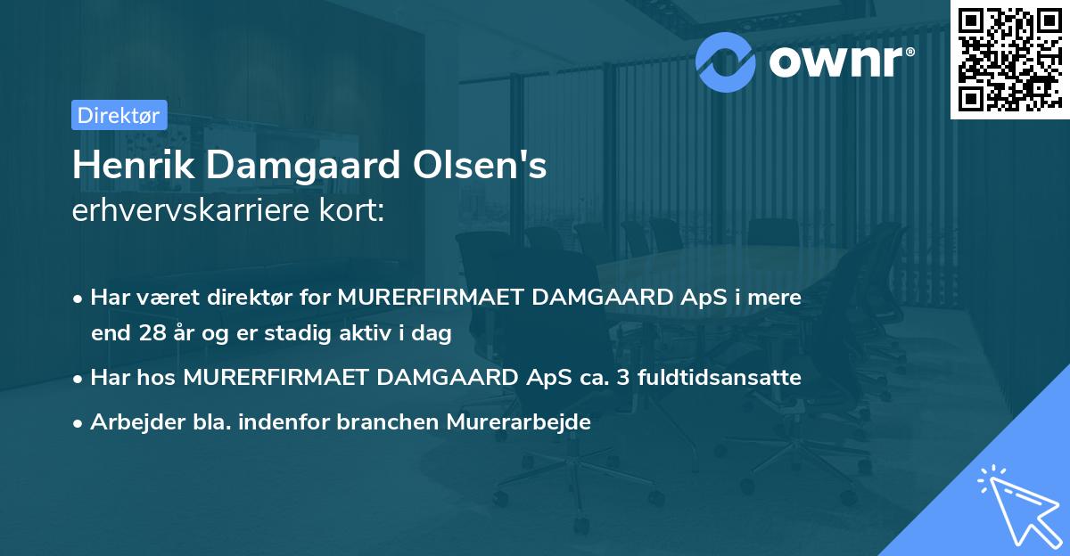 Henrik Damgaard Olsen's erhvervskarriere kort