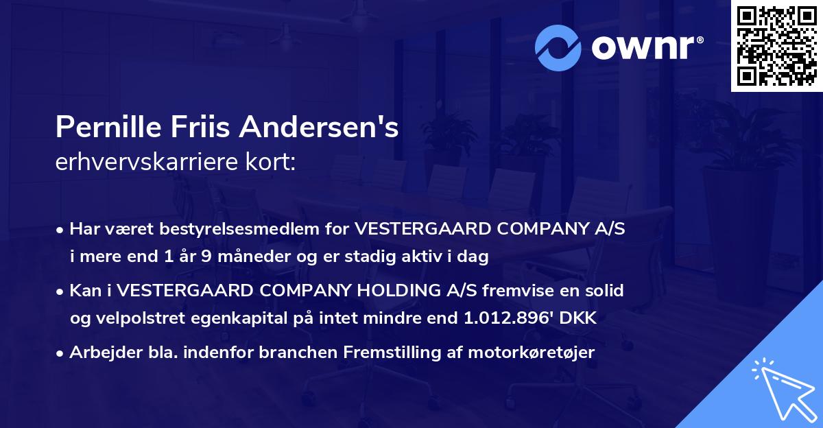 Pernille Friis Andersen's erhvervskarriere kort