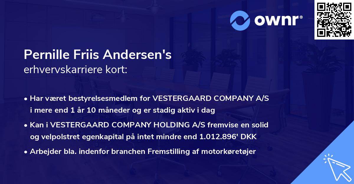 Pernille Friis Andersen's erhvervskarriere kort