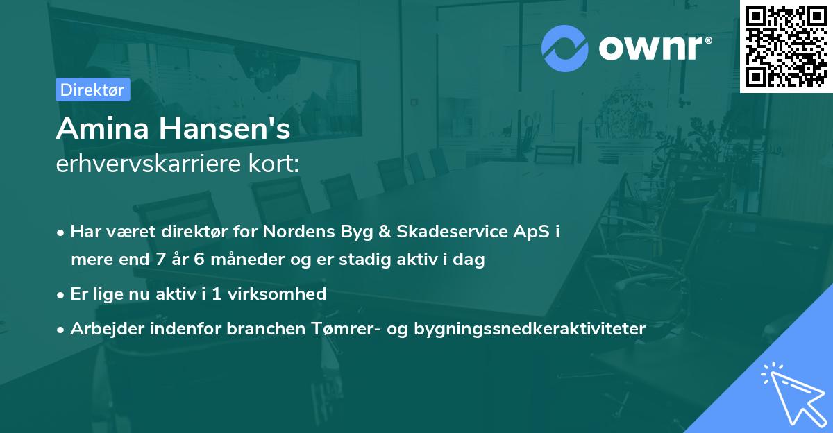 Amina Hansen's erhvervskarriere kort