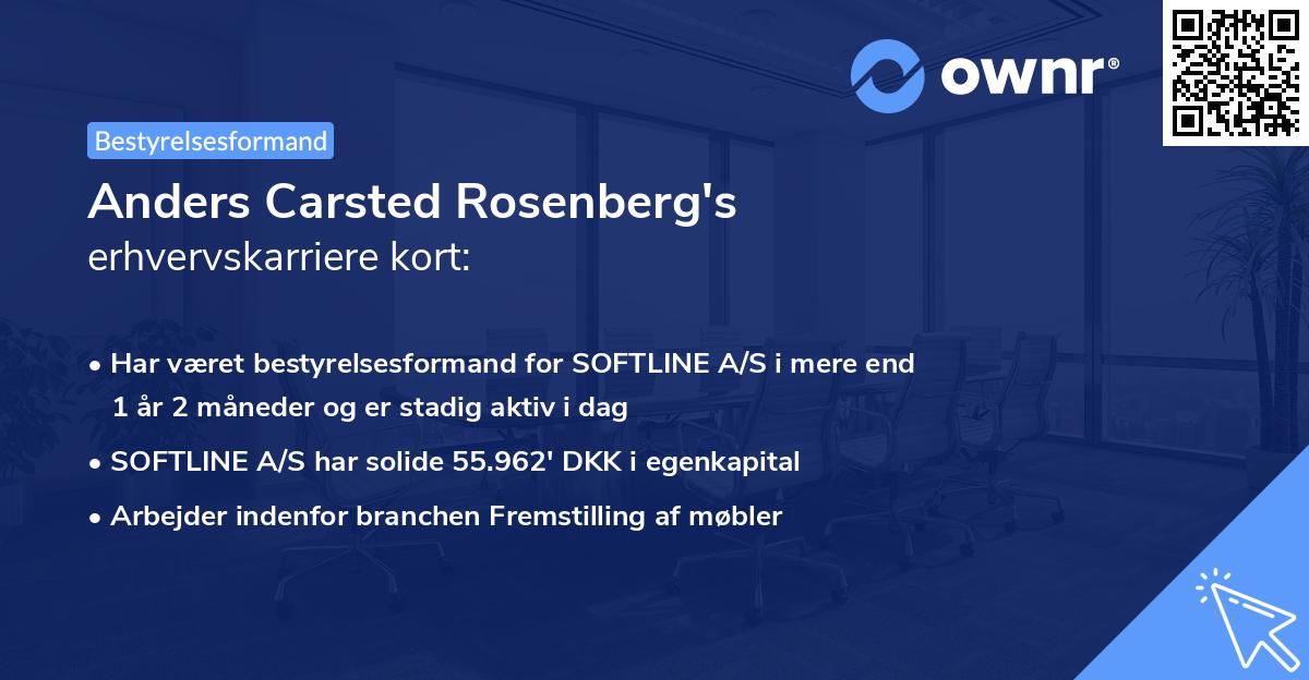 Anders Carsted Rosenberg's erhvervskarriere kort