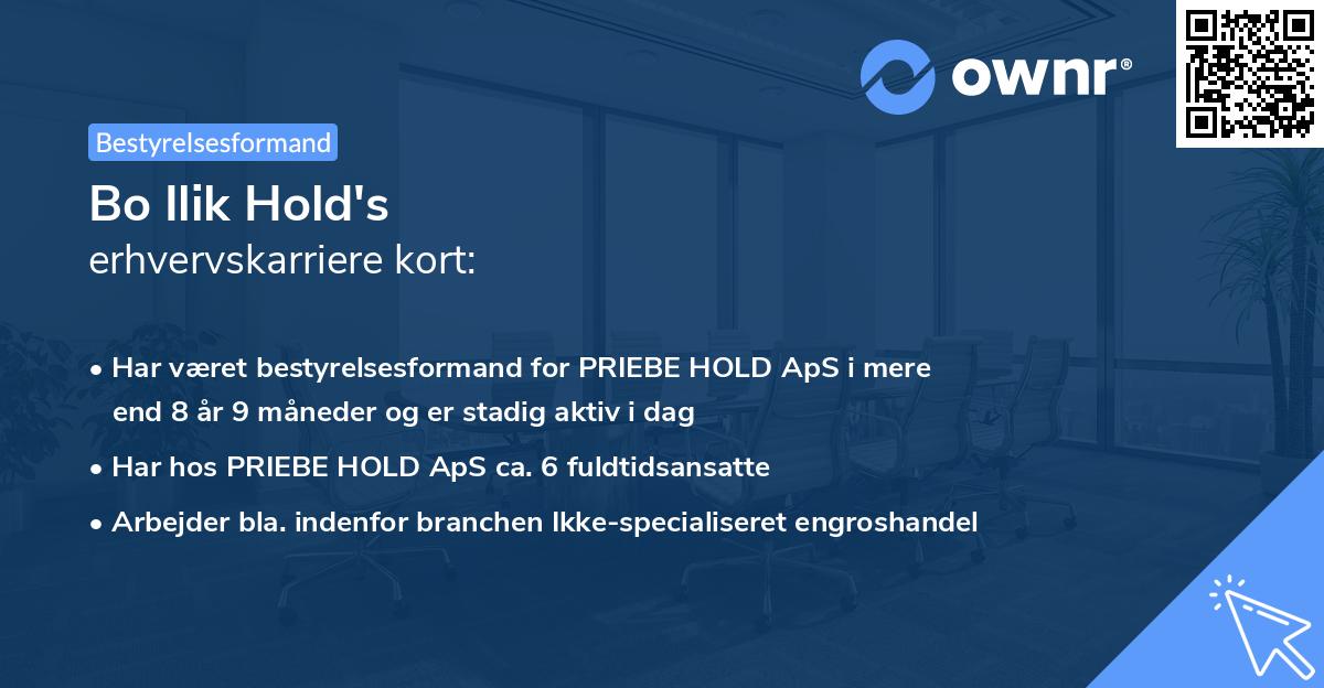 Bo Ilik Hold's erhvervskarriere kort