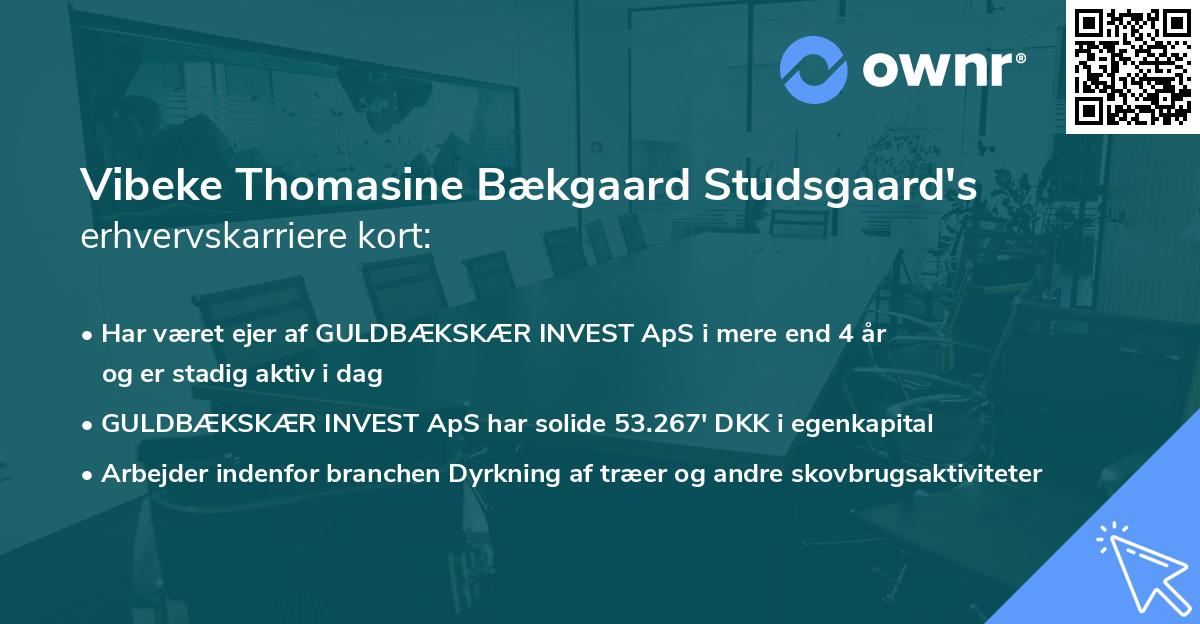 Vibeke Thomasine Bækgaard Studsgaard's erhvervskarriere kort