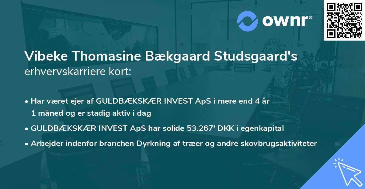 Vibeke Thomasine Bækgaard Studsgaard's erhvervskarriere kort