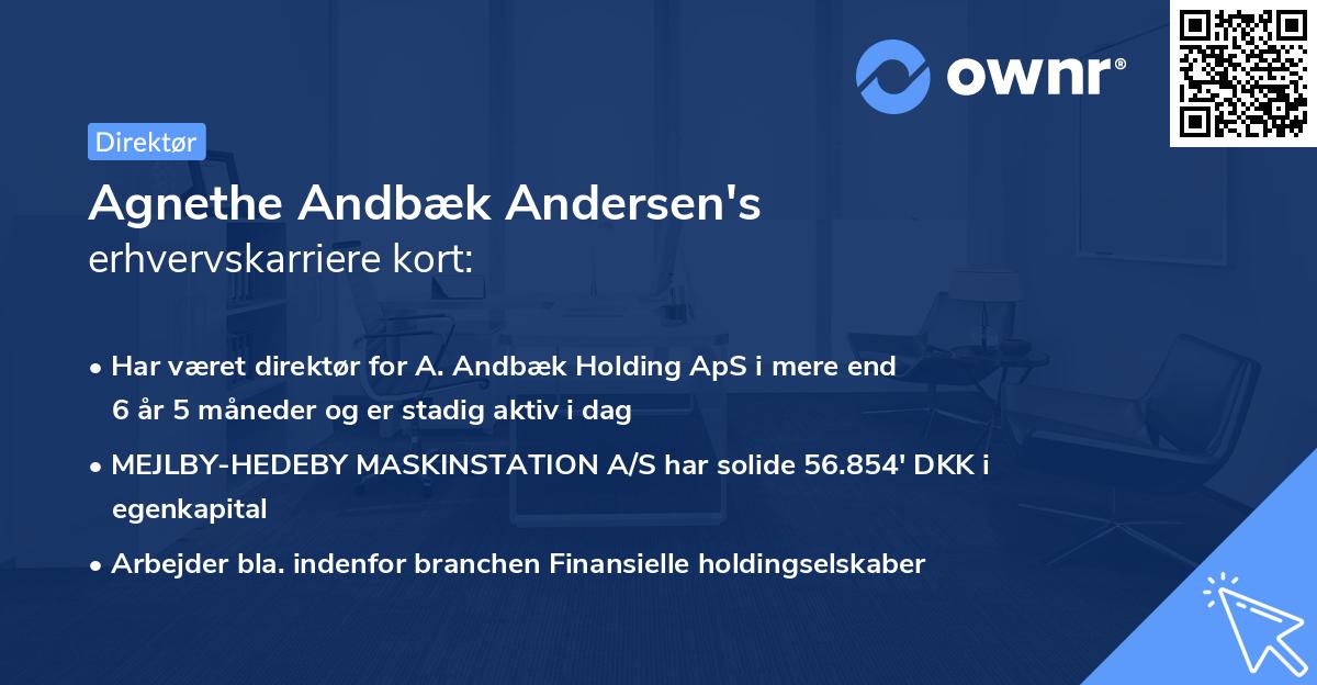 Agnethe Andbæk Andersen's erhvervskarriere kort