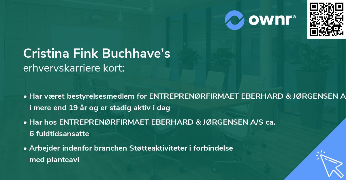 Cristina Fink Buchhave's erhvervskarriere kort