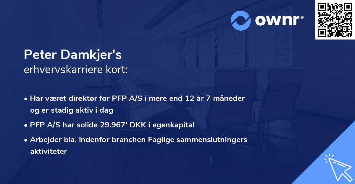 Peter Damkjer's erhvervskarriere kort