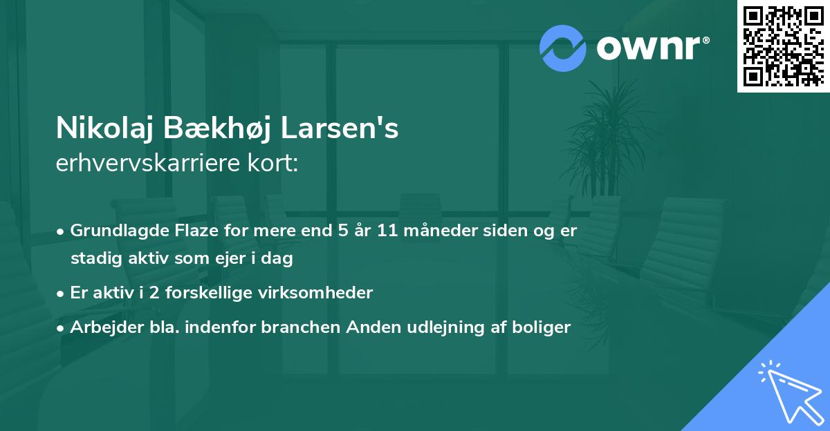 Nikolaj Bækhøj Larsen's erhvervskarriere kort