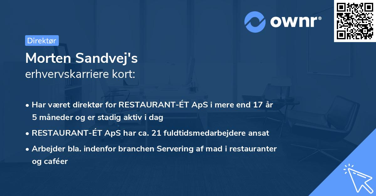 Morten Sandvej's erhvervskarriere kort