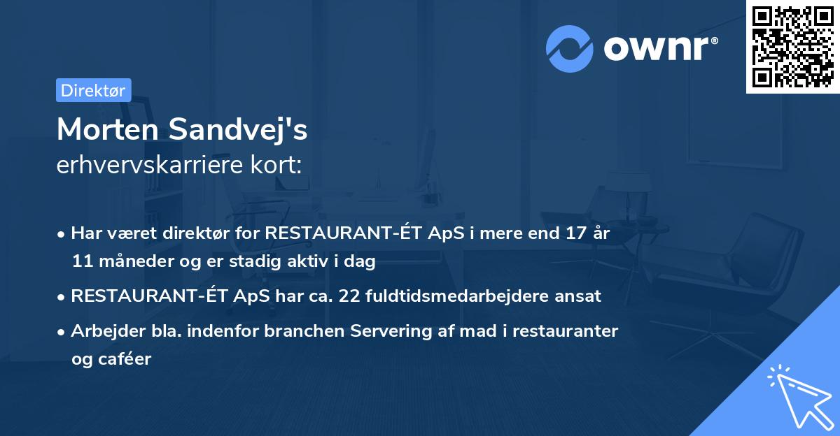 Morten Sandvej's erhvervskarriere kort