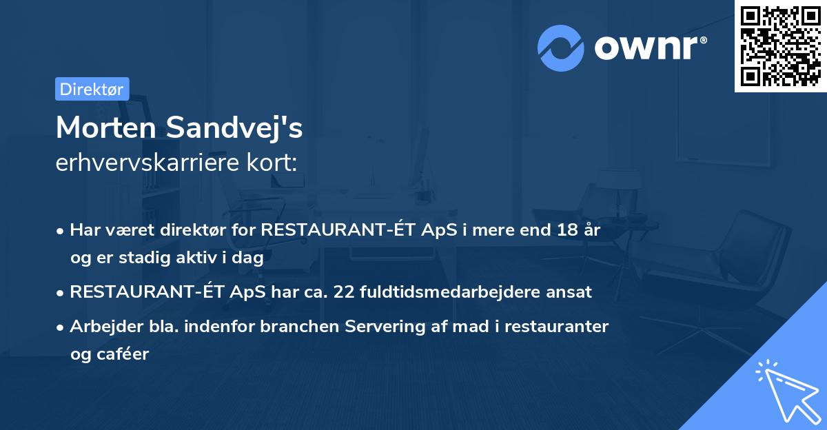 Morten Sandvej's erhvervskarriere kort