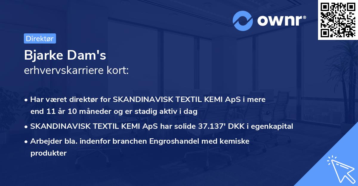 Bjarke Dam's erhvervskarriere kort