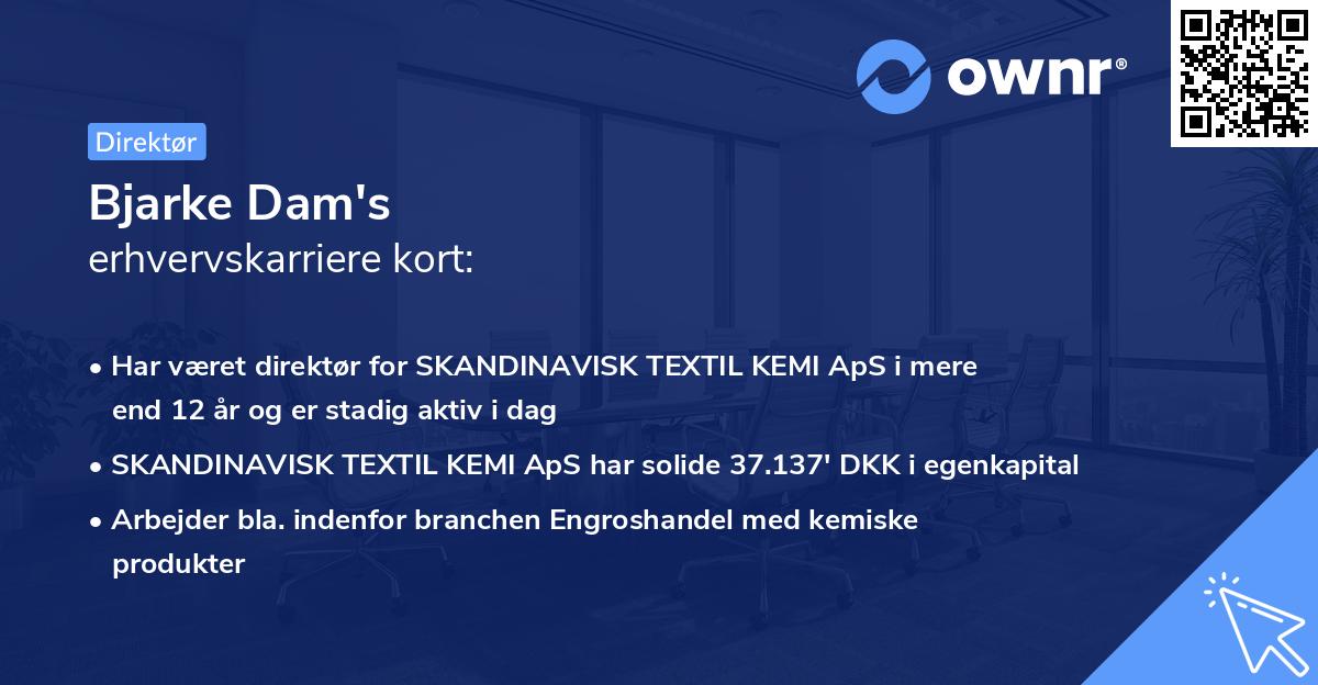 Bjarke Dam's erhvervskarriere kort