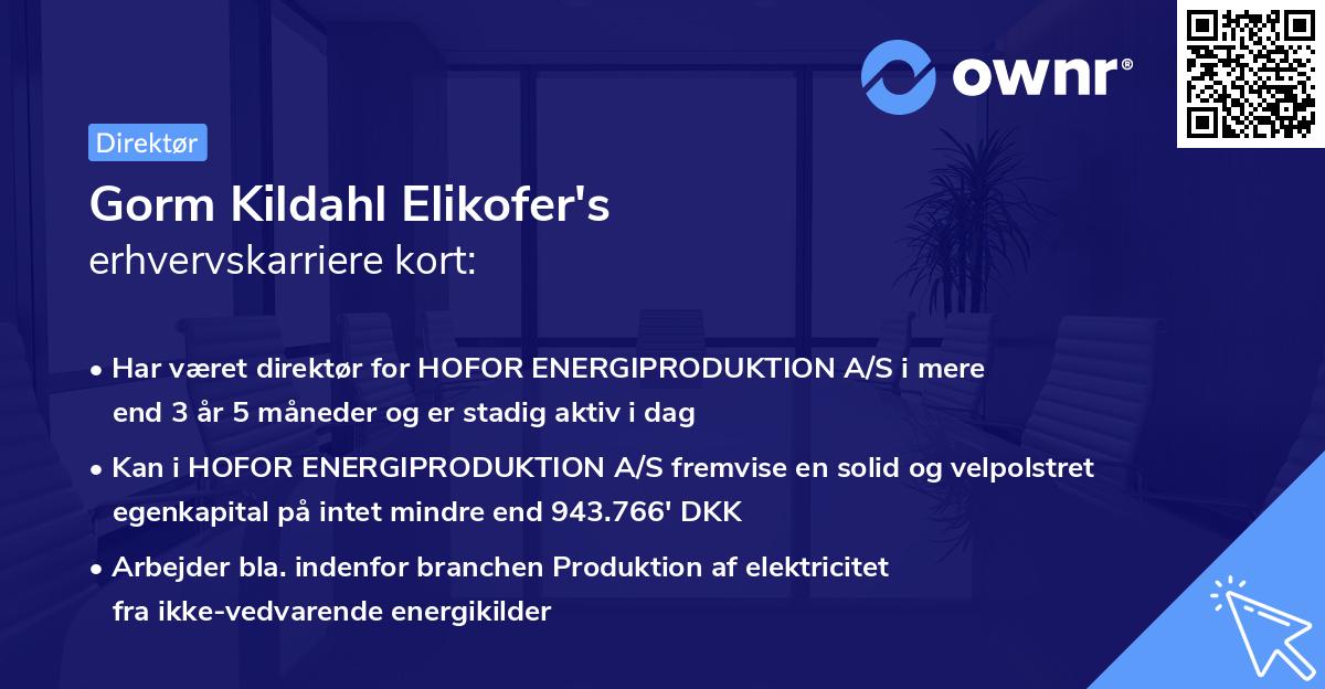 Gorm Kildahl Elikofer's erhvervskarriere kort