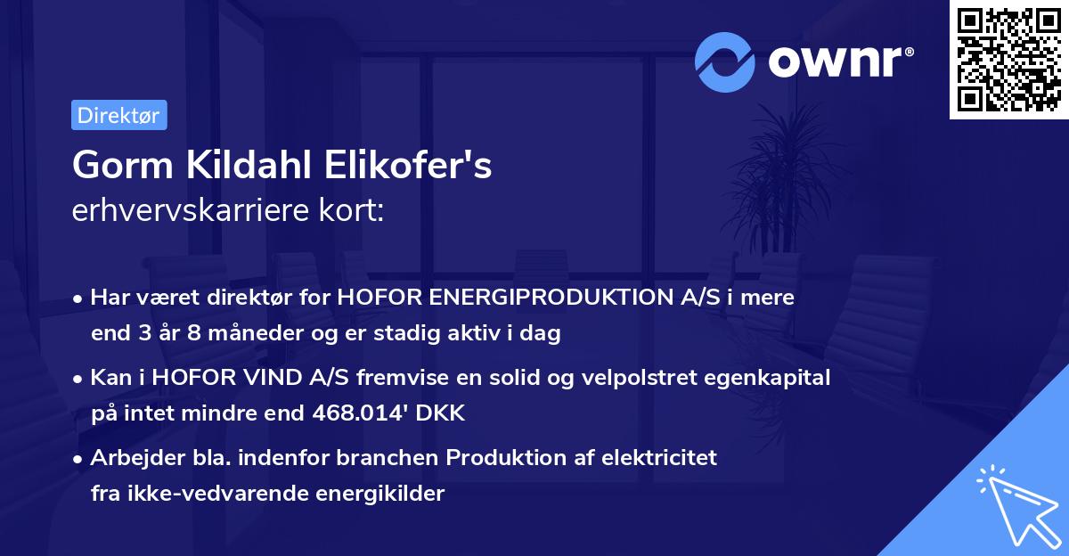 Gorm Kildahl Elikofer's erhvervskarriere kort