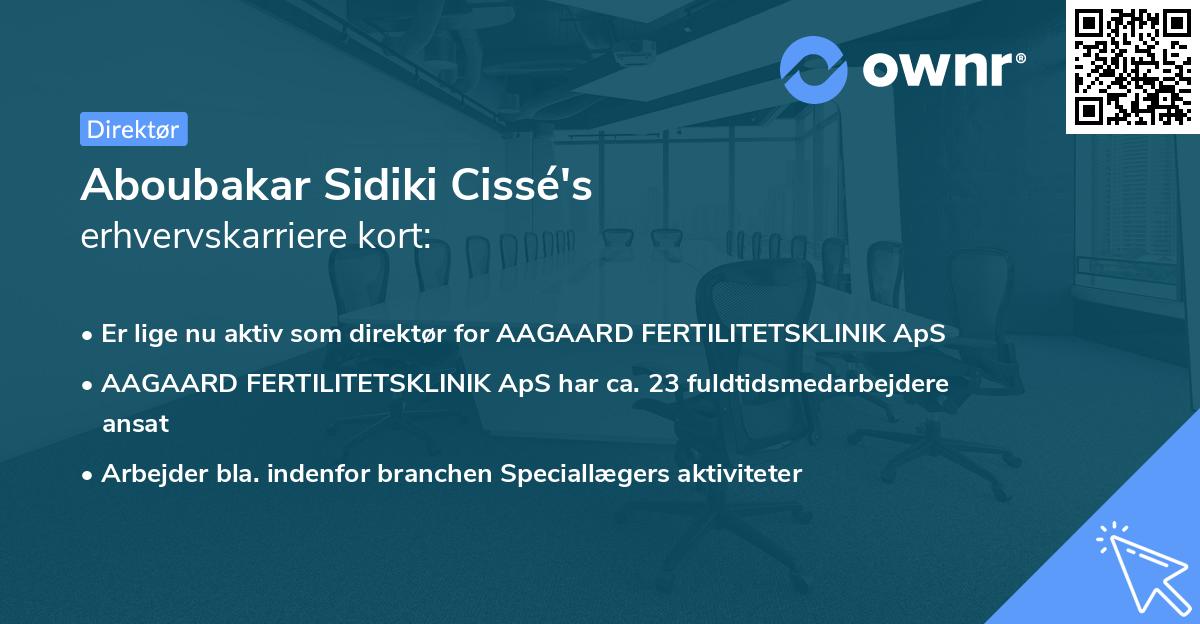 Aboubakar Sidiki Cissé's erhvervskarriere kort