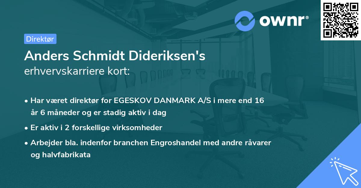 Anders Schmidt Dideriksen's erhvervskarriere kort