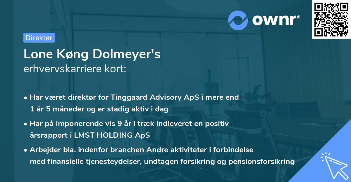 Lone Køng Dolmeyer's erhvervskarriere kort