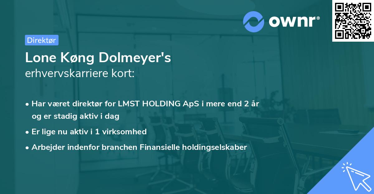 Lone Køng Dolmeyer's erhvervskarriere kort