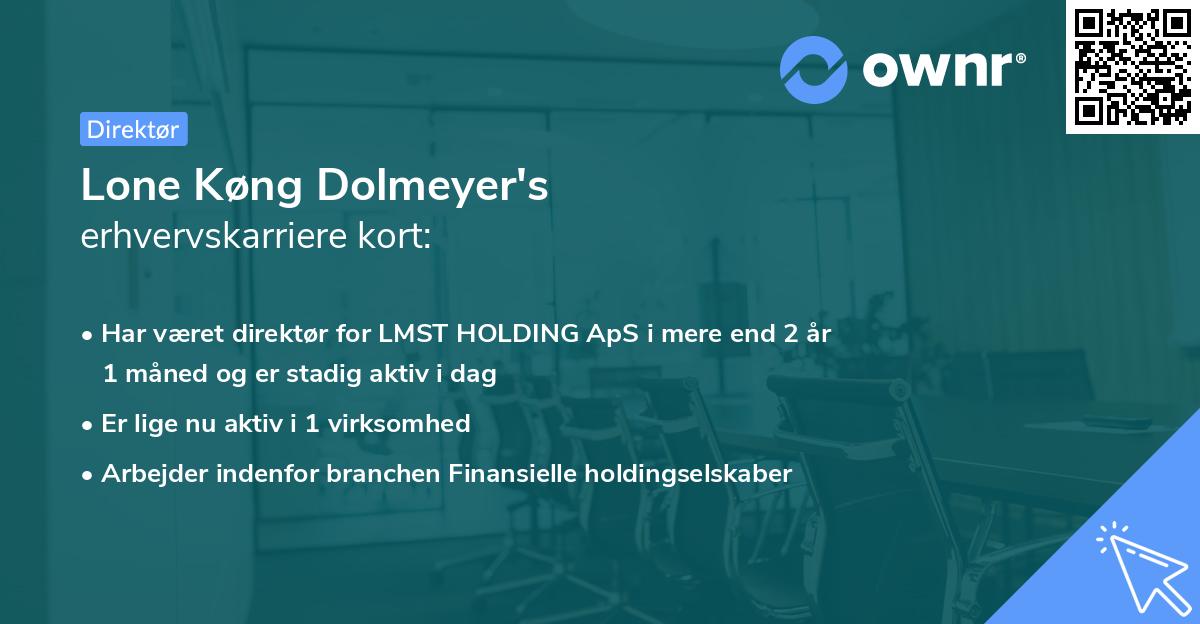 Lone Køng Dolmeyer's erhvervskarriere kort