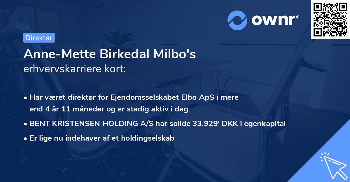 Anne-Mette Birkedal Milbo's erhvervskarriere kort