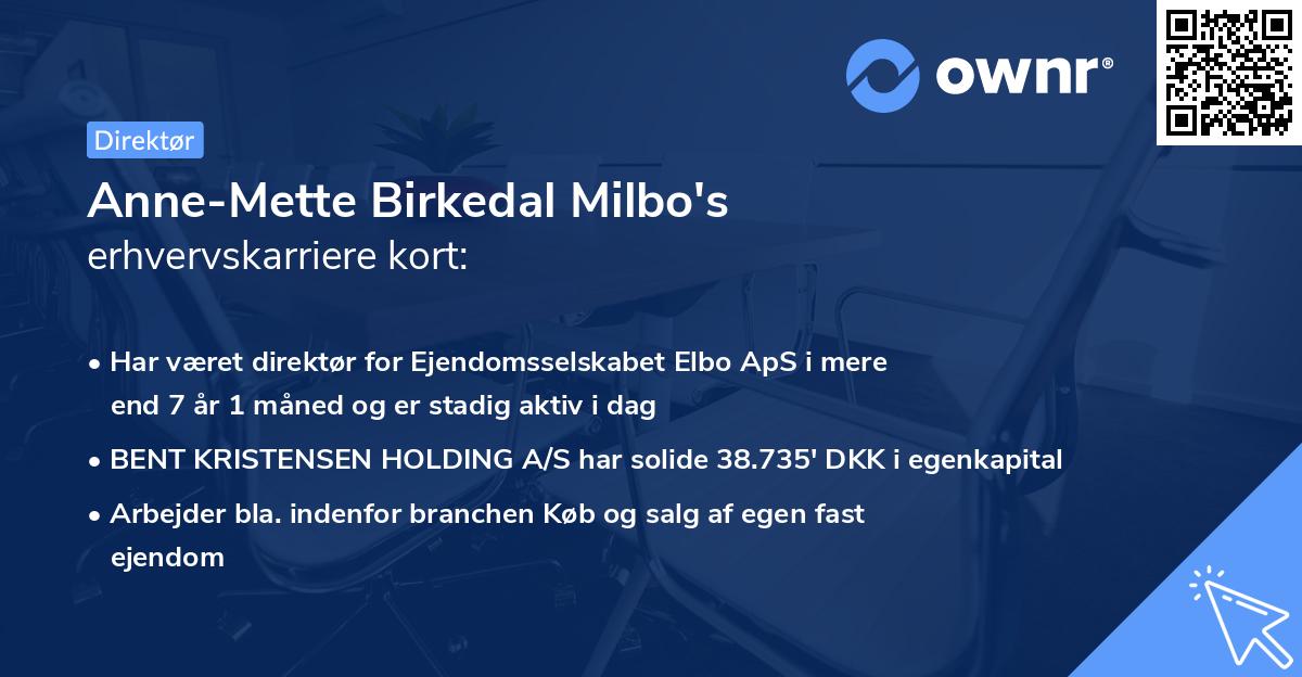 Anne-Mette Birkedal Milbo's erhvervskarriere kort