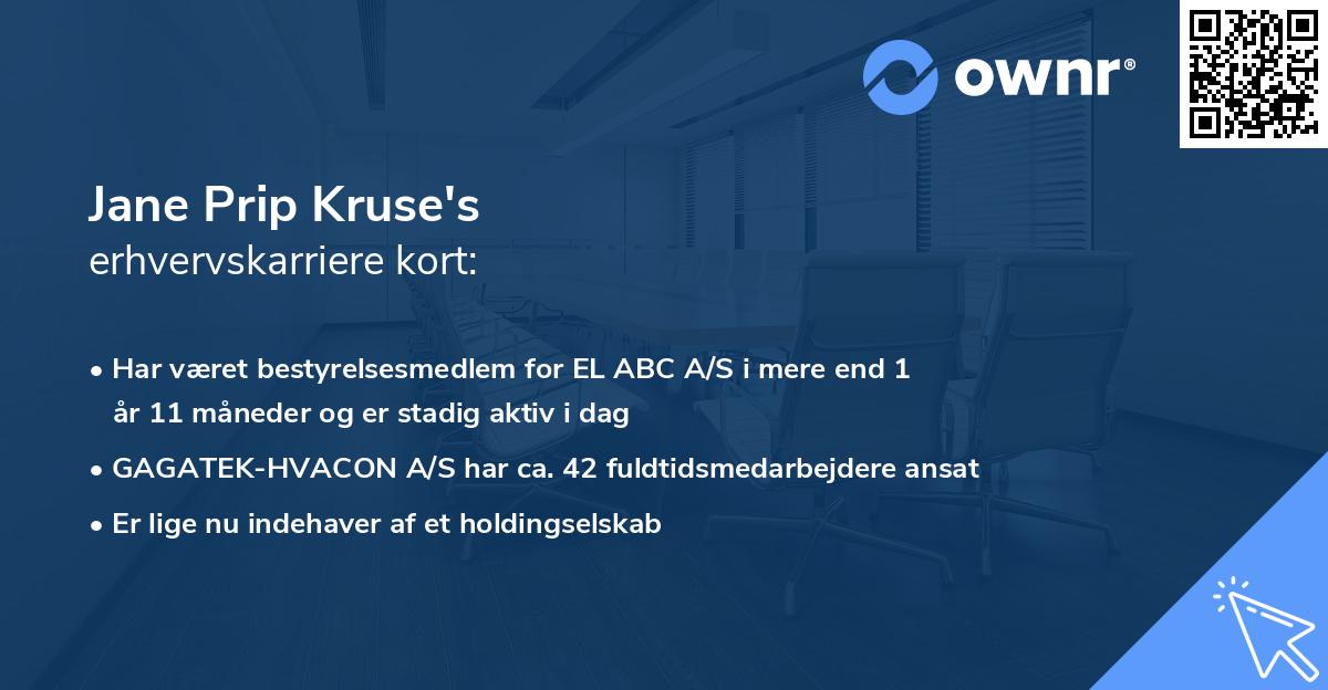 Jane Prip Kruse's erhvervskarriere kort