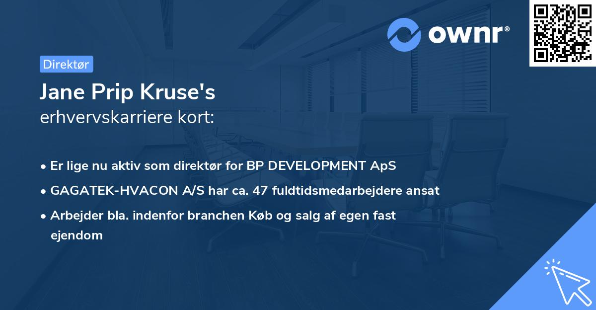 Jane Prip Kruse's erhvervskarriere kort