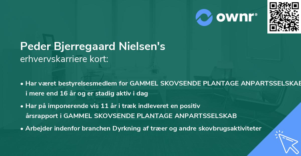 Peder Bjerregaard Nielsen's erhvervskarriere kort