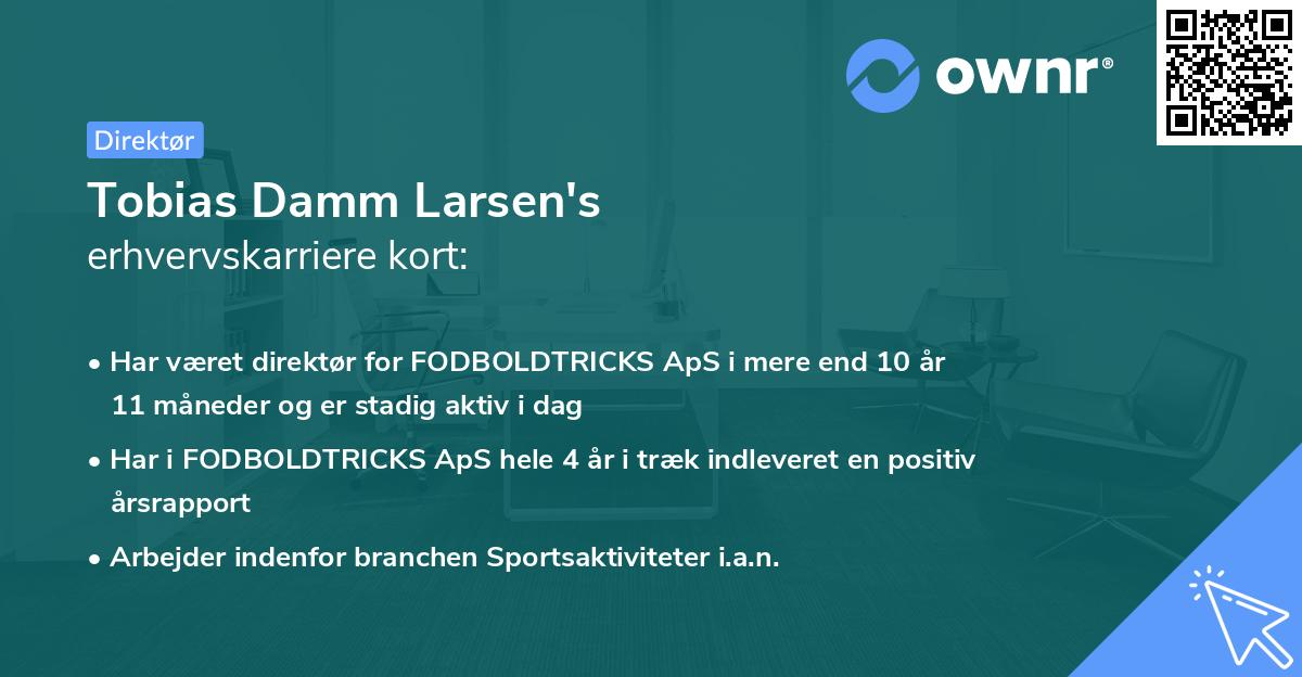 Tobias Damm Larsen's erhvervskarriere kort