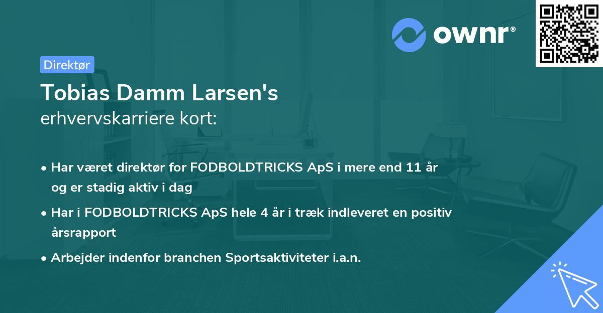 Tobias Damm Larsen's erhvervskarriere kort