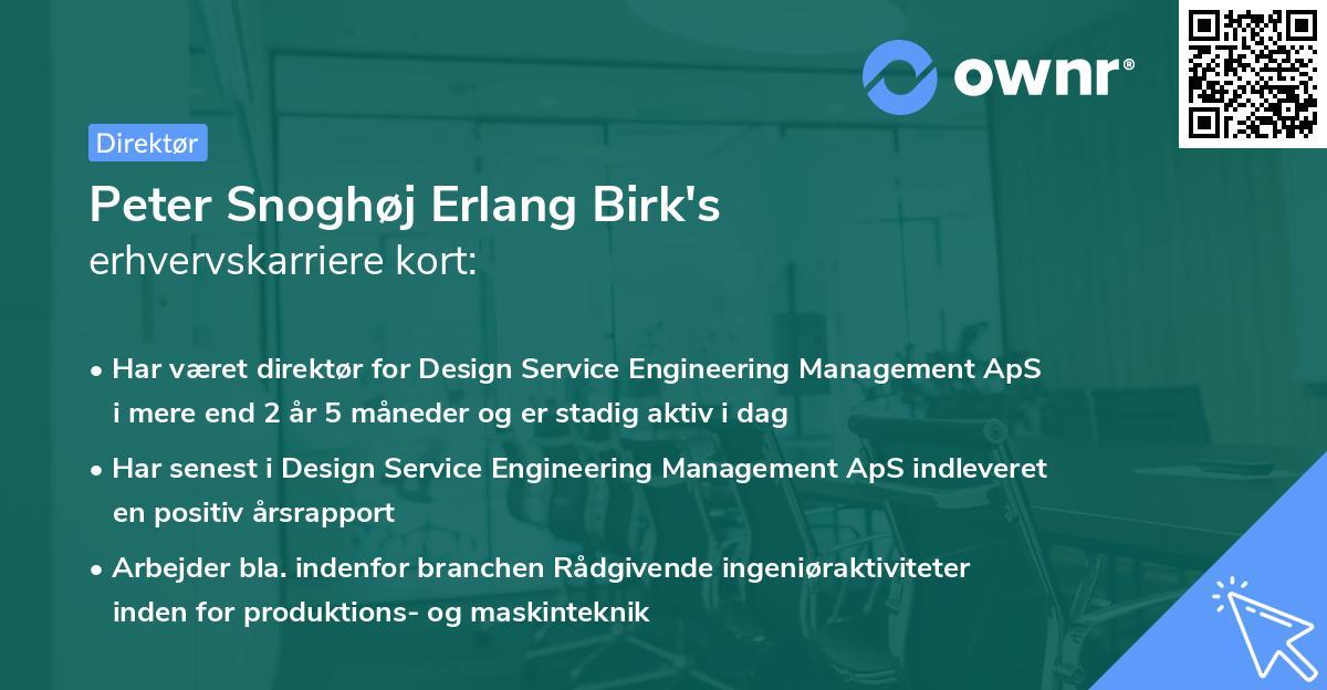 Peter Snoghøj Erlang Birk's erhvervskarriere kort
