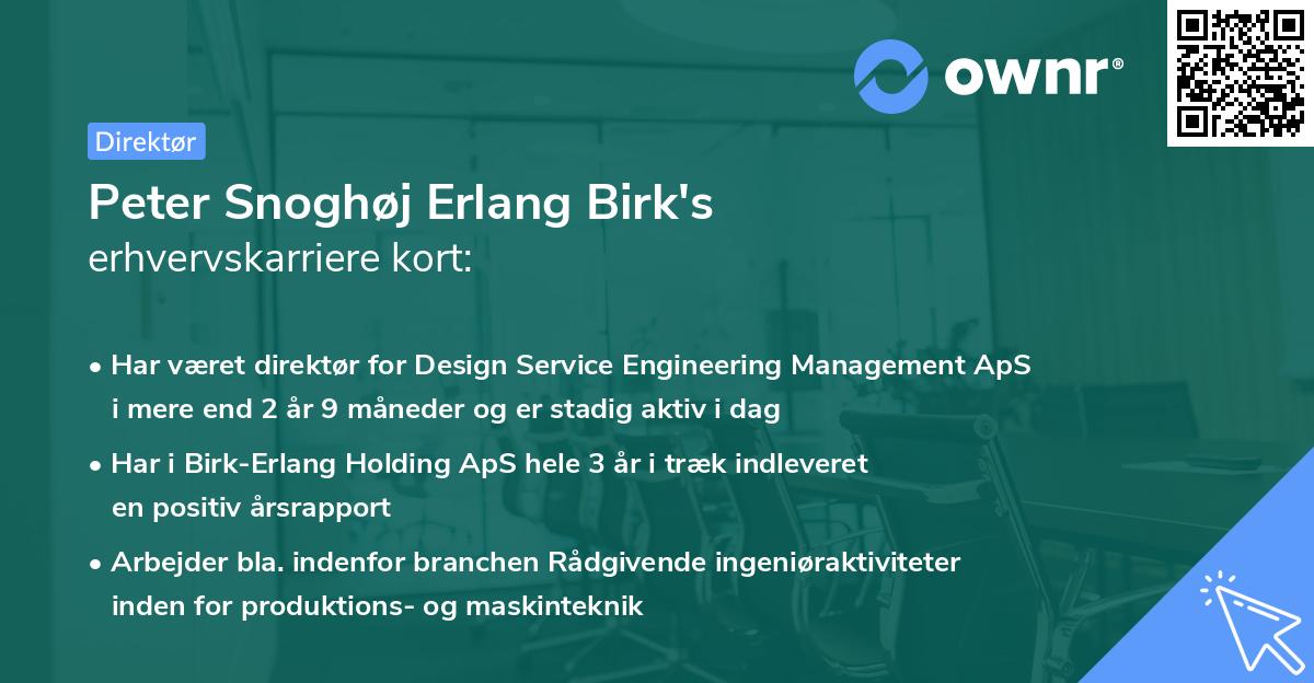 Peter Snoghøj Erlang Birk's erhvervskarriere kort