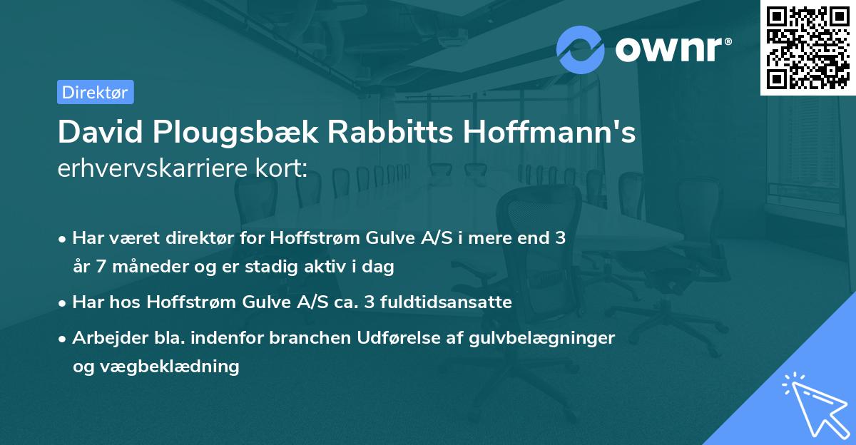 David Plougsbæk Rabbitts Hoffmann's erhvervskarriere kort