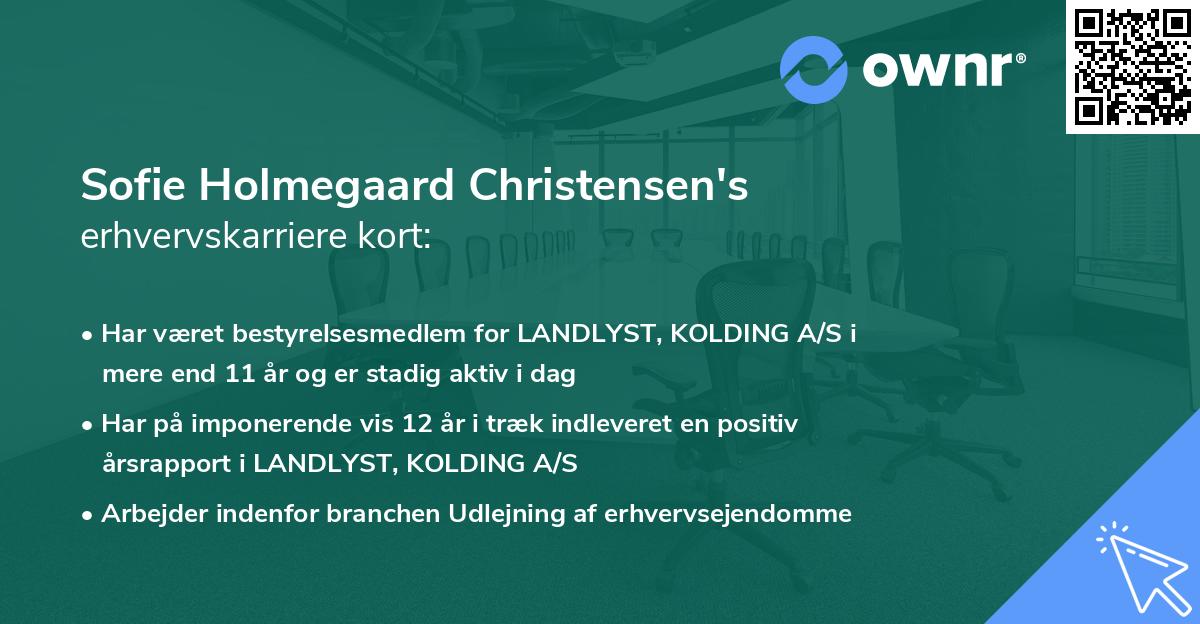 Sofie Holmegaard Christensen's erhvervskarriere kort