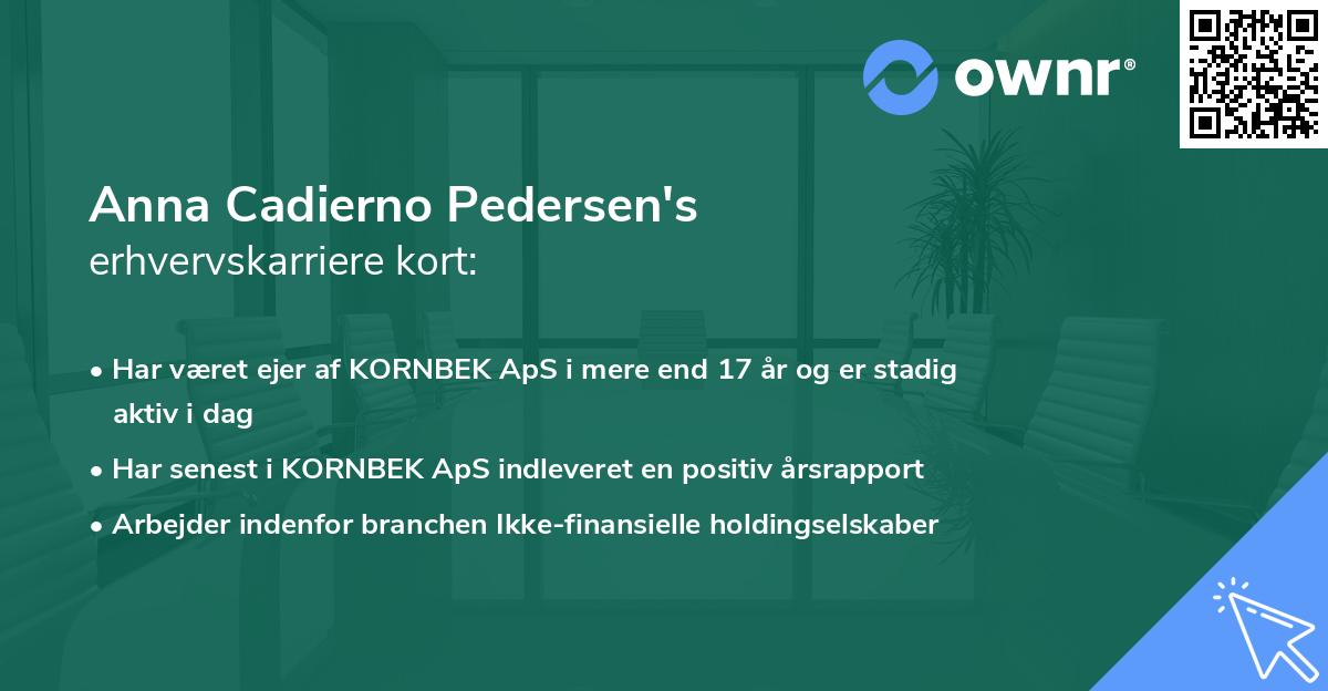 Anna Cadierno Pedersen's erhvervskarriere kort