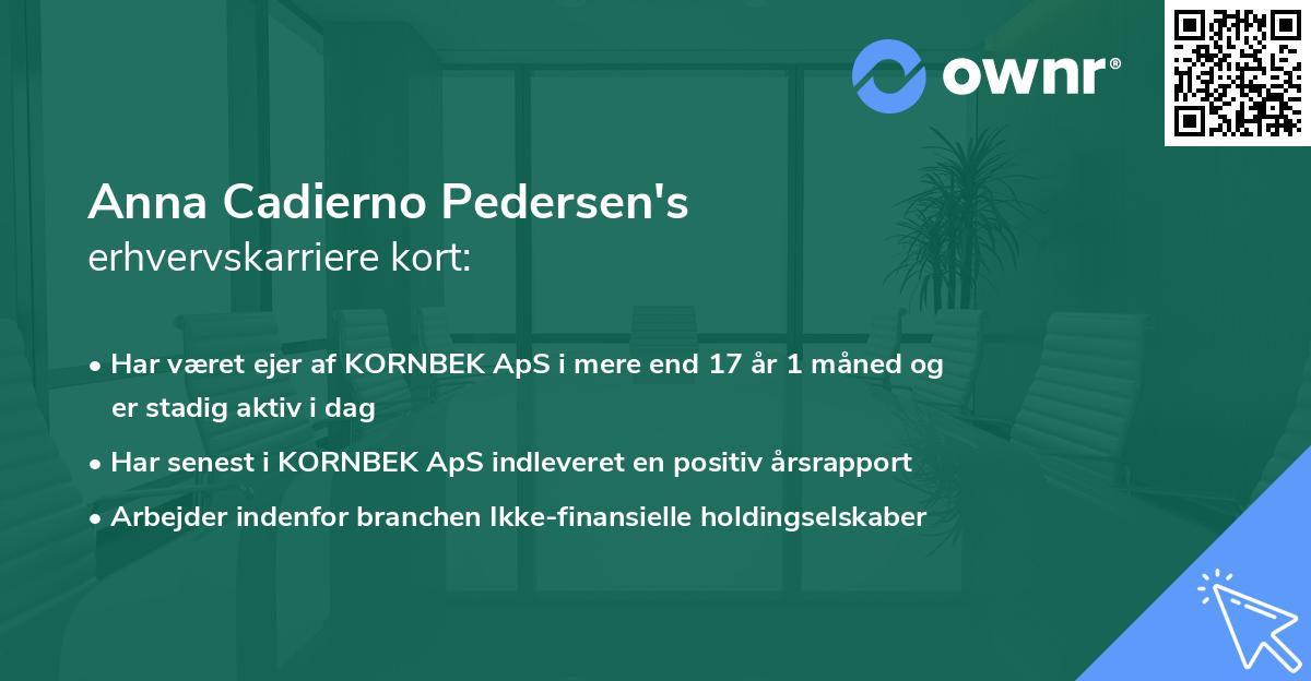 Anna Cadierno Pedersen's erhvervskarriere kort